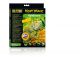 HEAT WAVE  RAINFOREST  MEDIUM